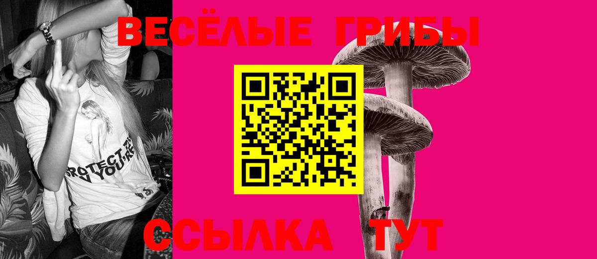 Псилоцибиновые грибы ЛСД Апрелевка